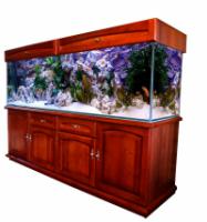 akwarium_malawi_exclusive_super