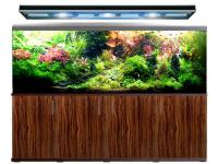 akwarium_morskie_akwarium_roślinne_argus_wrocław_akwaria_akwarium_słodkowodne_akwarystyka_morska_roślinna_akwarium_rafowe_fish_only_reef_aquariu...