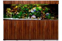 akwarium_morskie_akwarium_roślinne_argus_wrocław_akwaria_akwarium_słodkowodne_akwarystyka_morska_roślinna_akwarium_rafowe_fish_only_reef_aquariu...