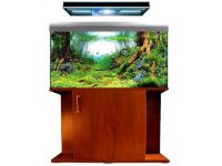 akwarium_morskie_akwarium_roślinne_argus_wrocław_akwaria_akwarium_słodkowodne_akwarystyka_morska_roślinna_akwarium_rafowe_fish_only_reef_aquariu...