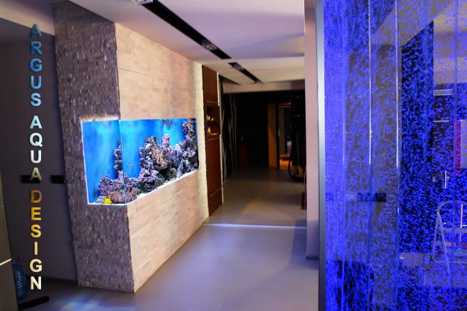 aquarium_in_wall