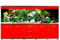 Classic alu 500 l Fresh Water 200-50-50 2x58 wat t8 oraz 2x80 wat t5 obudowa melaminowana