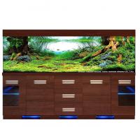 nova super nowa obr1_658x600