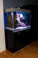 Akwarium morskie Mini-Reef 200 litrów kompletne